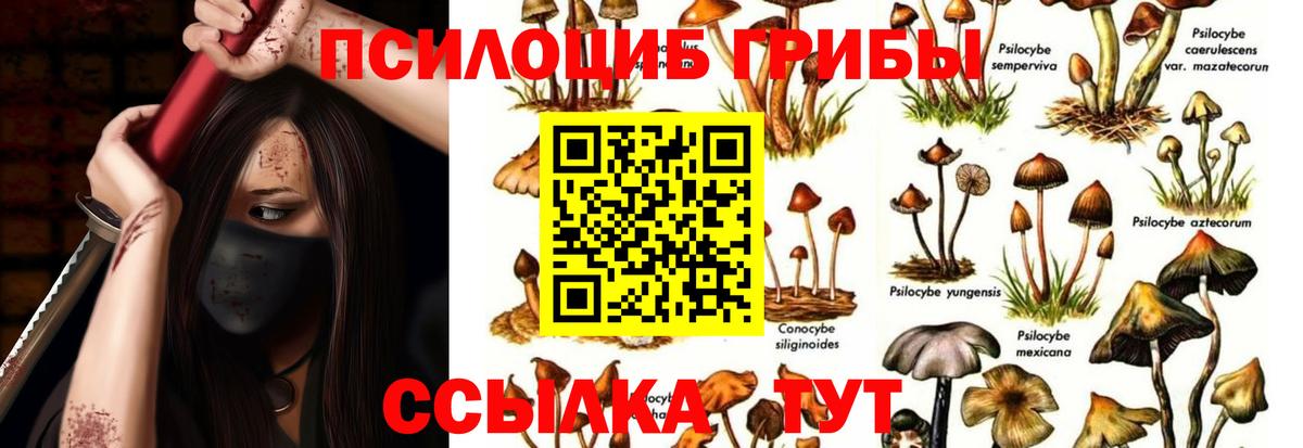 Галлюциногенные грибы мицелий  Вход с VPN  Калининград 